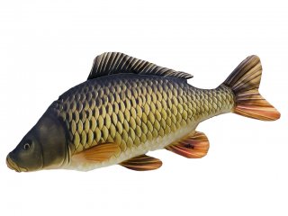 Gaby Common Carp Pillow / Šaran Ljuskavi 100cm