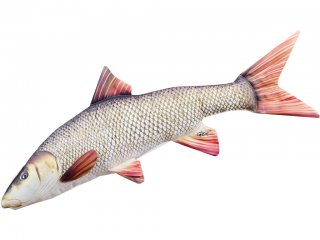 Gaby Barbel Pillow / Mrena 80cm