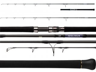 Daiwa 21 Saltiga Casting 2.39m, 160g