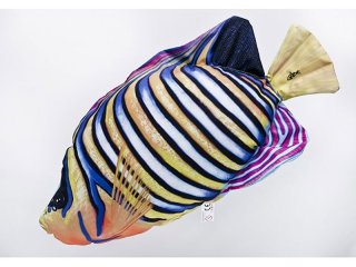 Gaby Regal Angelfish Pillow 56cm