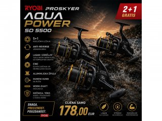 Ryobi Proskyer AquaPower SD 5500 2+1 FREE